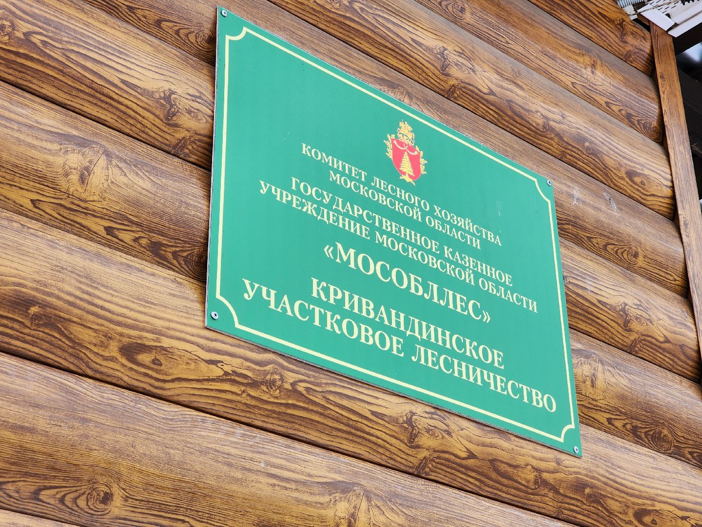 лесник, кривандинское лесничество, шатура, шатурский округ,