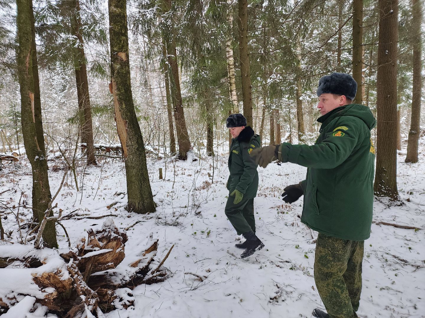 лесник, кривандинское лесничество, шатура, шатурский округ,