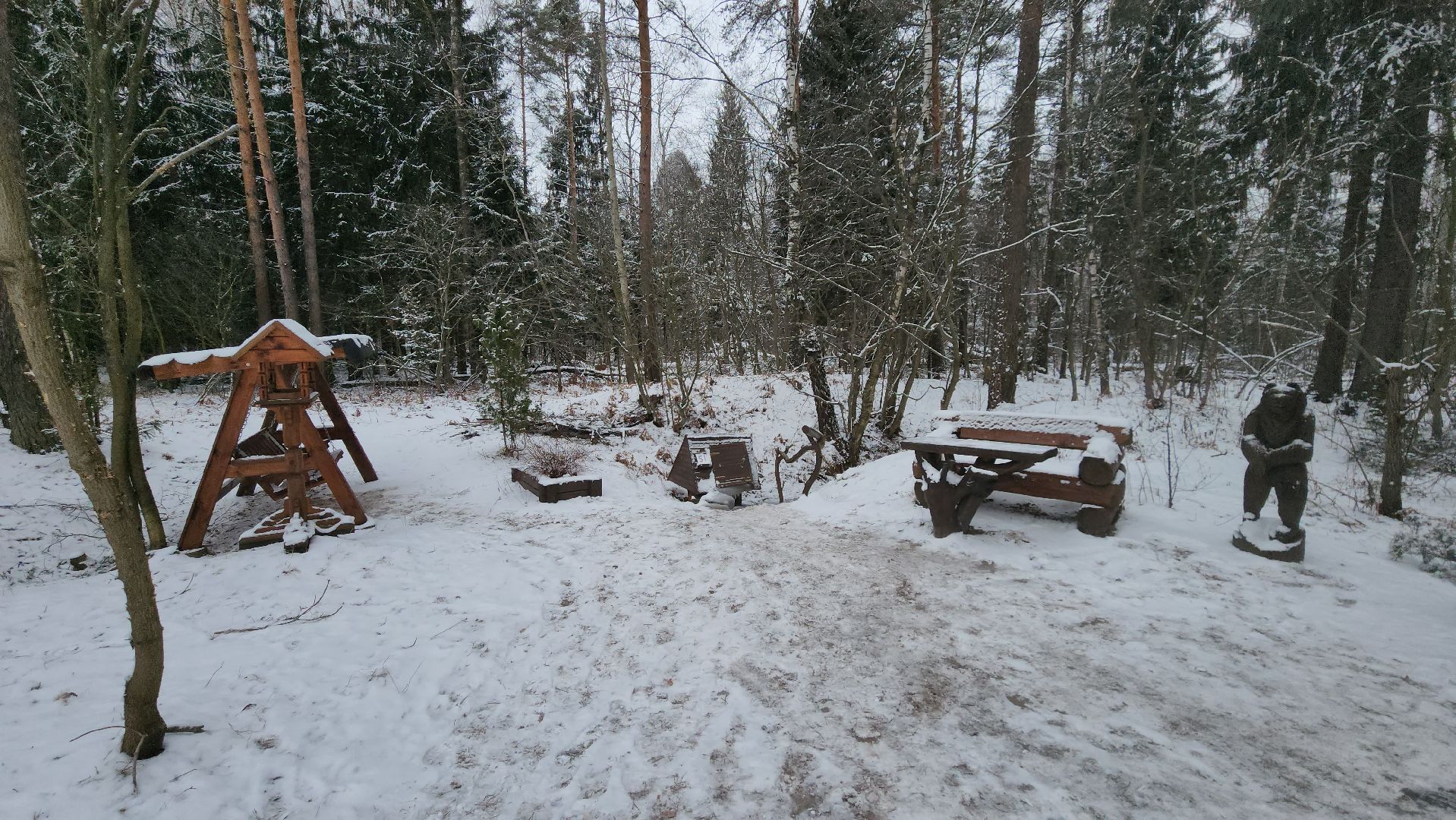 лесник, кривандинское лесничество, шатура, шатурский округ,