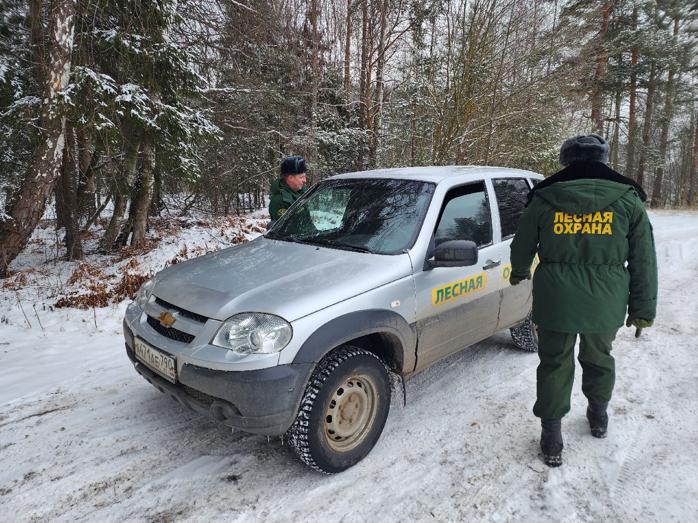 лесник, кривандинское лесничество, шатура, шатурский округ,