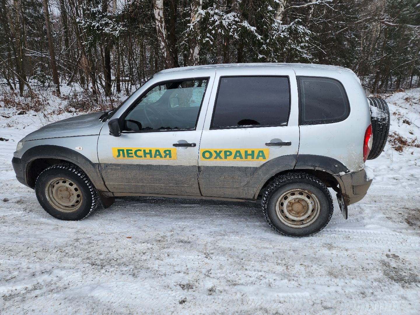 лесник, кривандинское лесничество, шатура, шатурский округ,