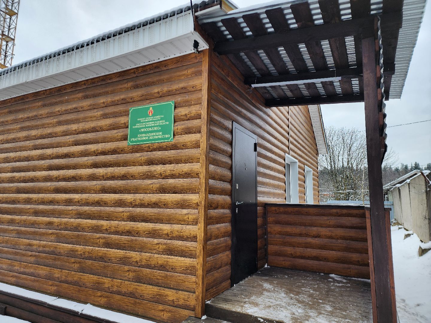 лесник, кривандинское лесничество, шатура, шатурский округ,