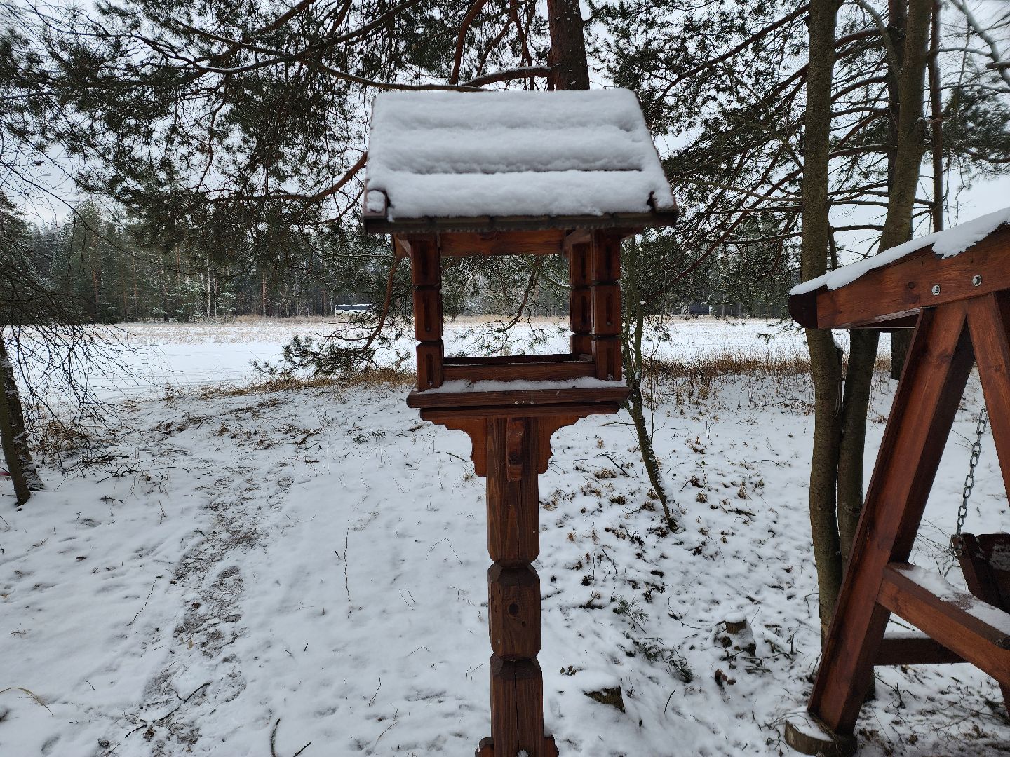 лесник, кривандинское лесничество, шатура, шатурский округ,