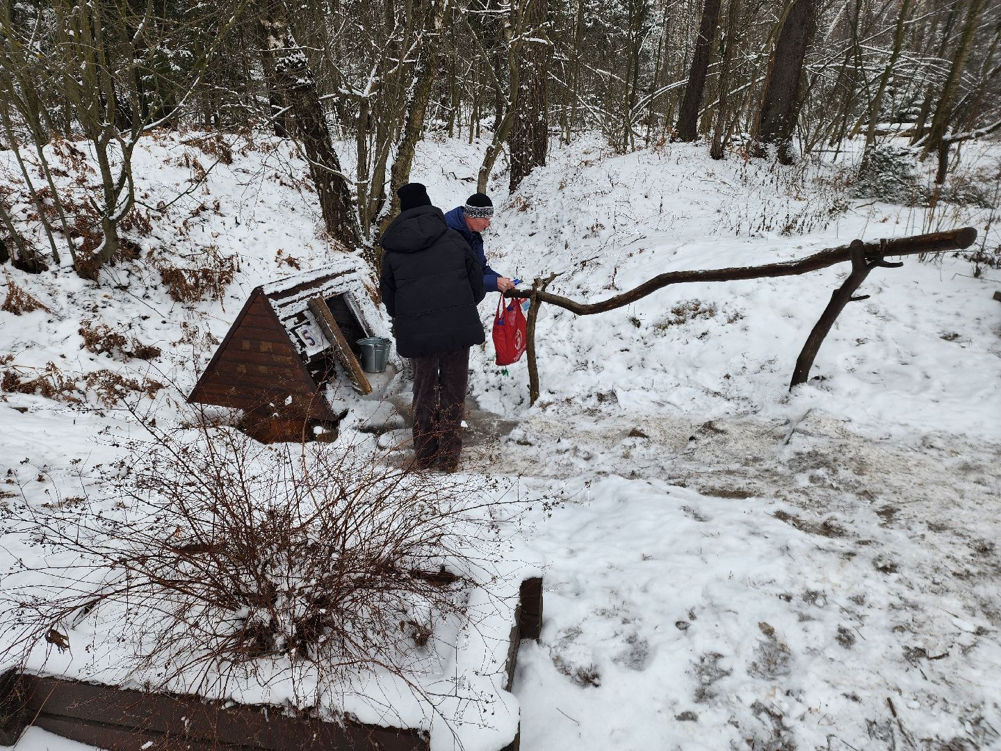 лесник, кривандинское лесничество, шатура, шатурский округ,