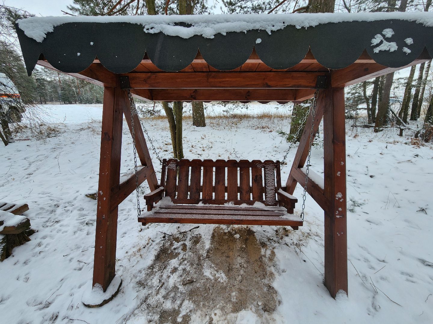 лесник, кривандинское лесничество, шатура, шатурский округ,