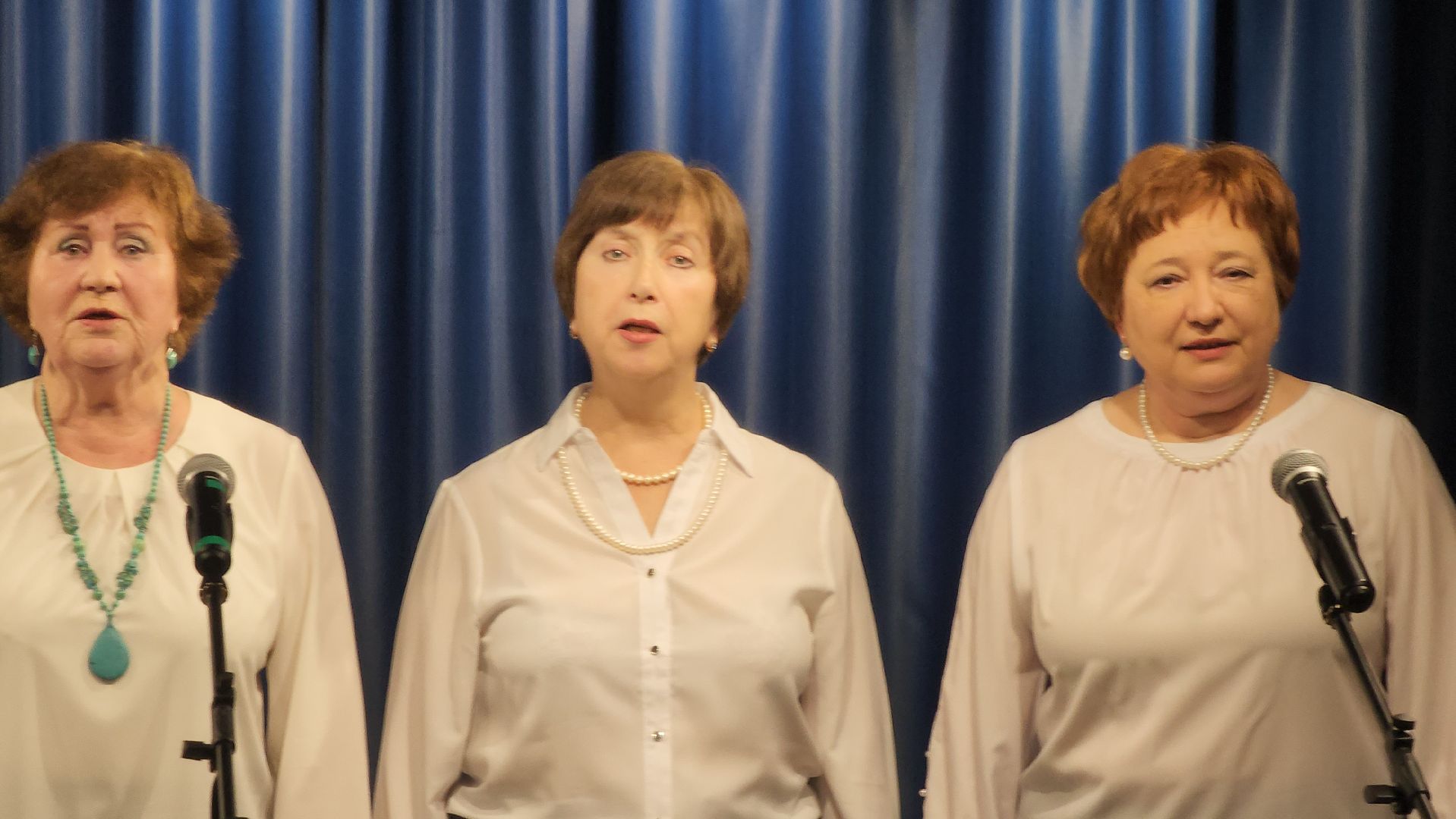 долгопрудный, модельная библиотека, СВО, день защитника отечества, вертикалки,