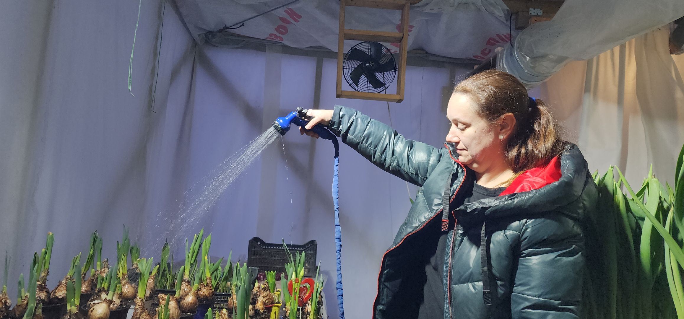 вертикалки, экономика, Общество, люди,