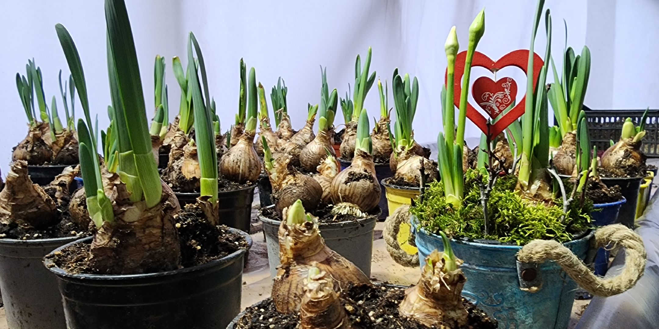 вертикалки, экономика, Общество, люди,