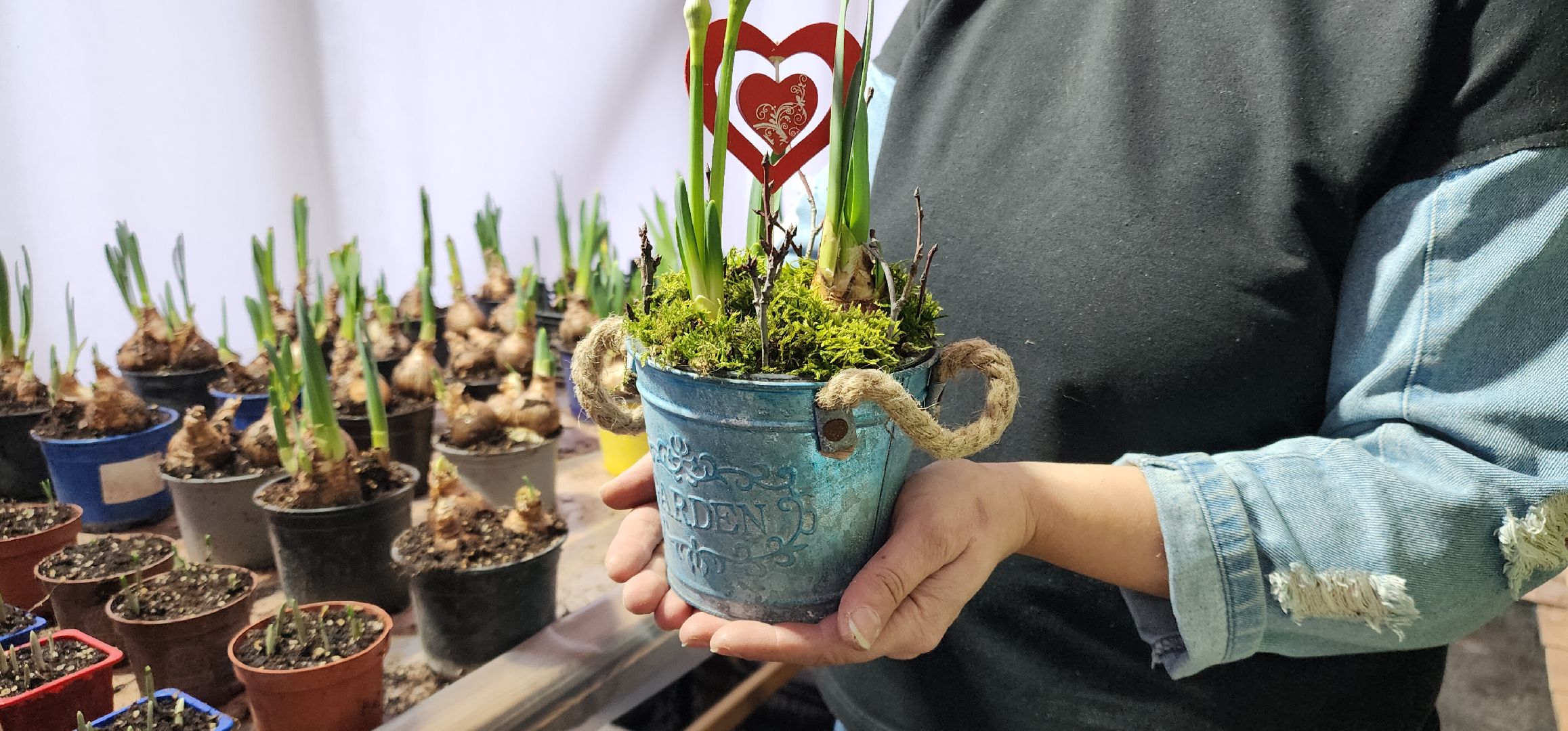 вертикалки, экономика, Общество, люди,