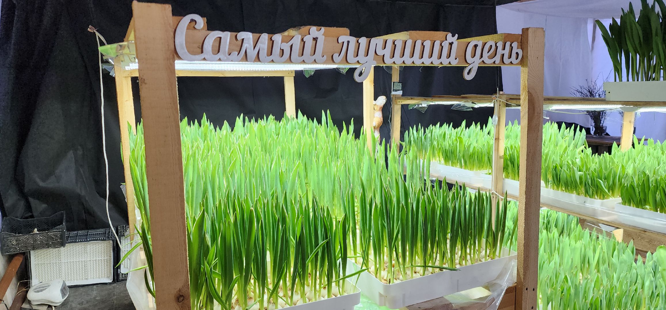 вертикалки, экономика, Общество, люди,