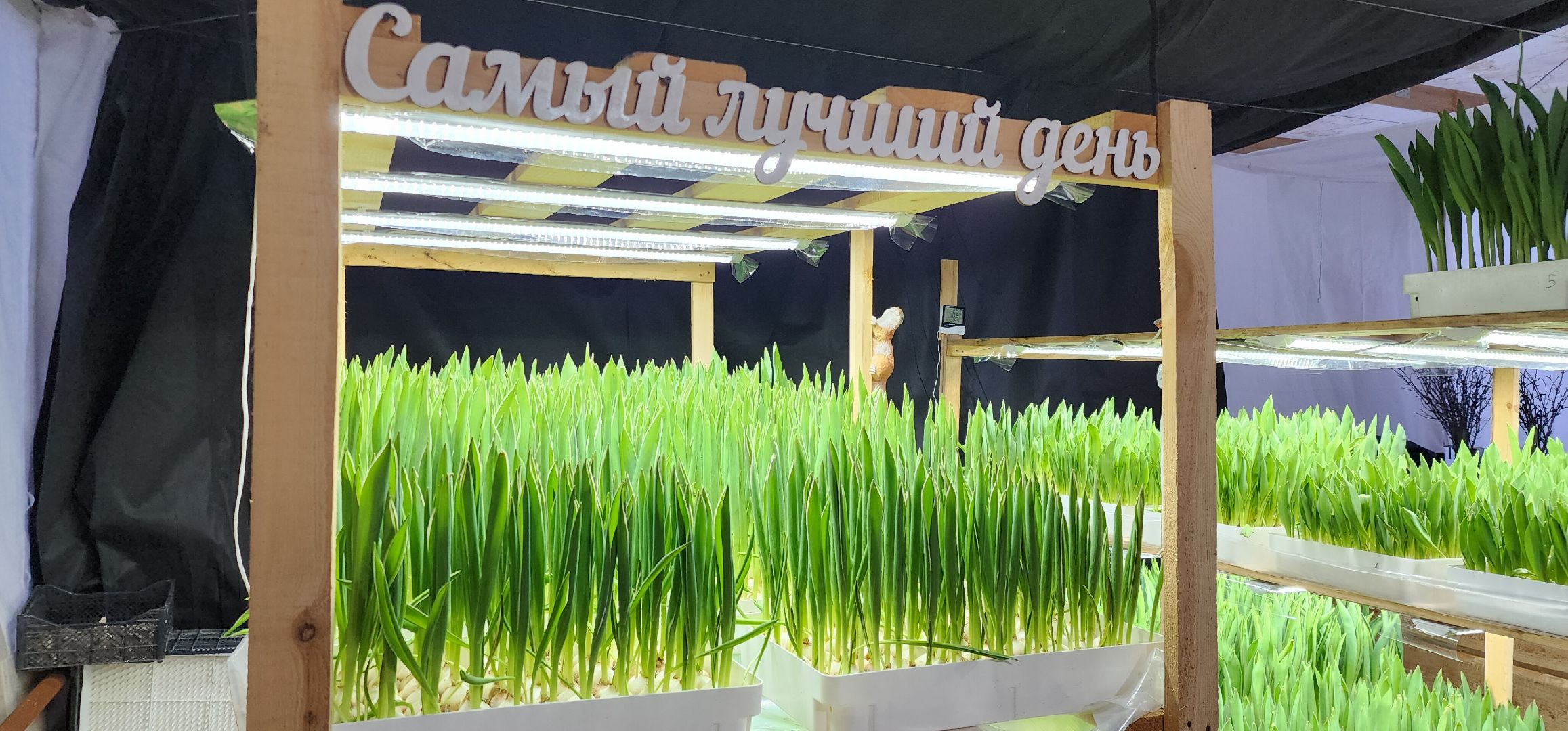 вертикалки, экономика, Общество, люди,