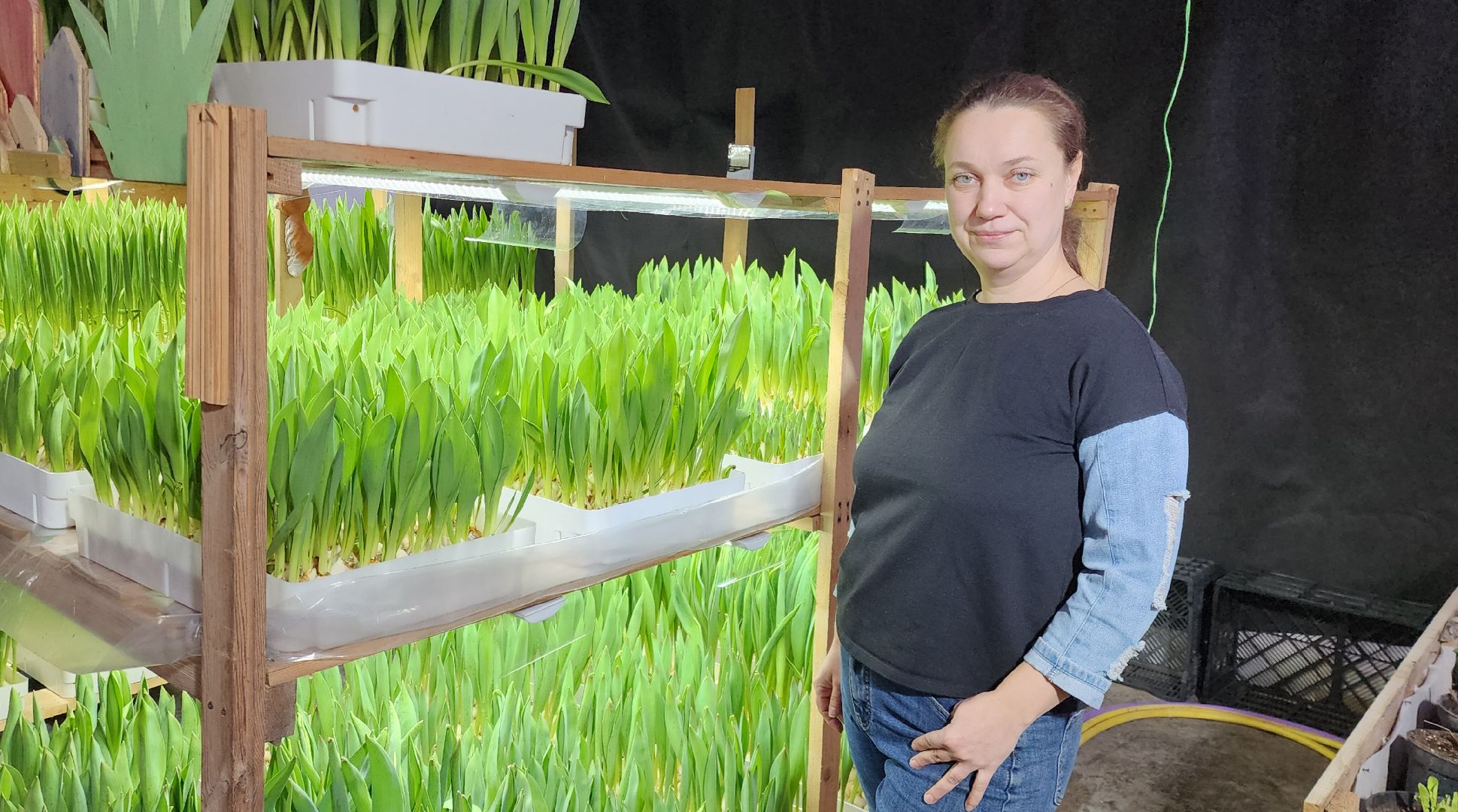 вертикалки, экономика, Общество, люди,