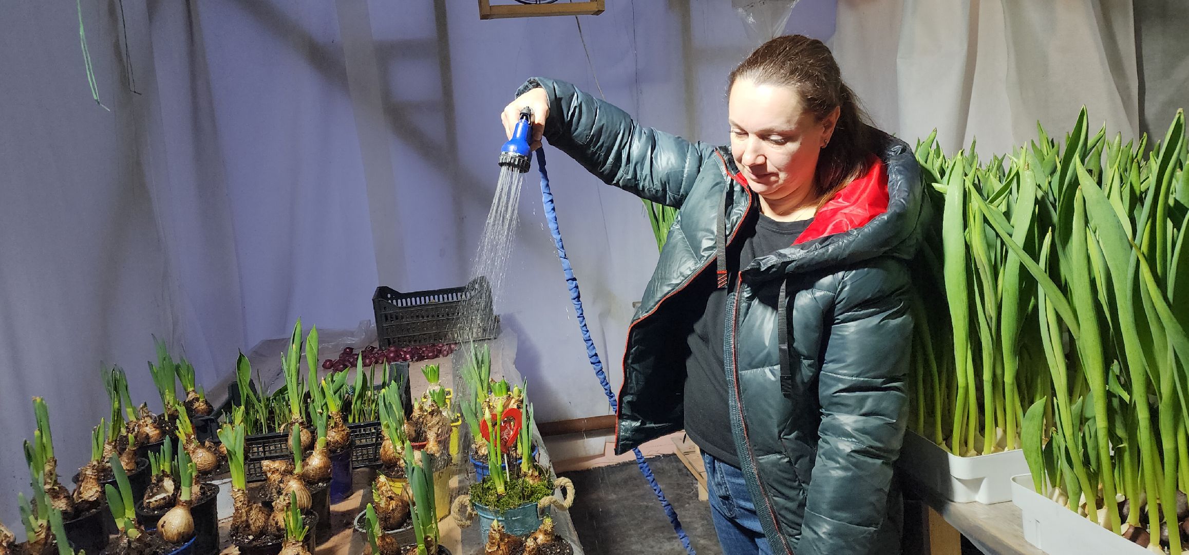 вертикалки, экономика, Общество, люди,