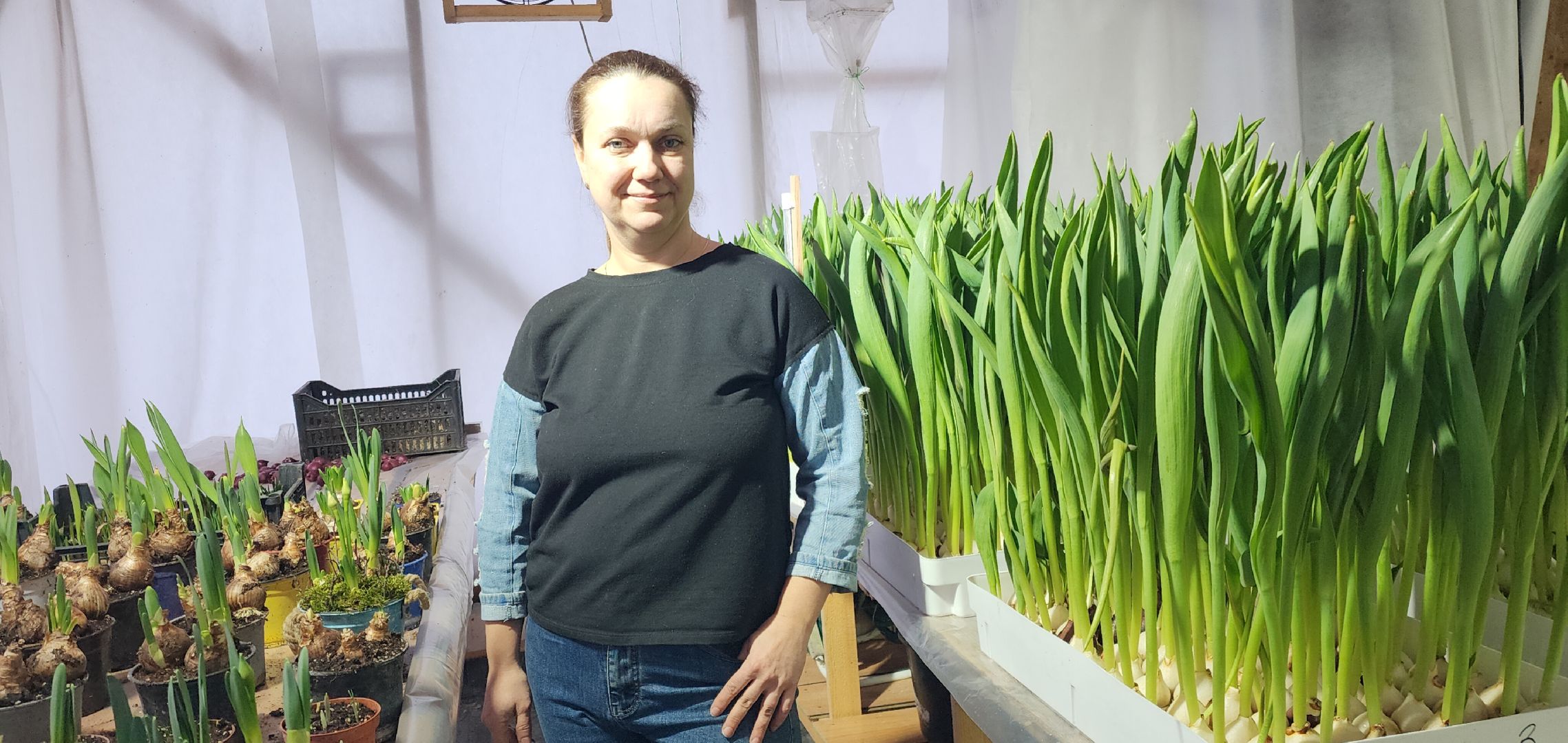 вертикалки, экономика, Общество, люди,