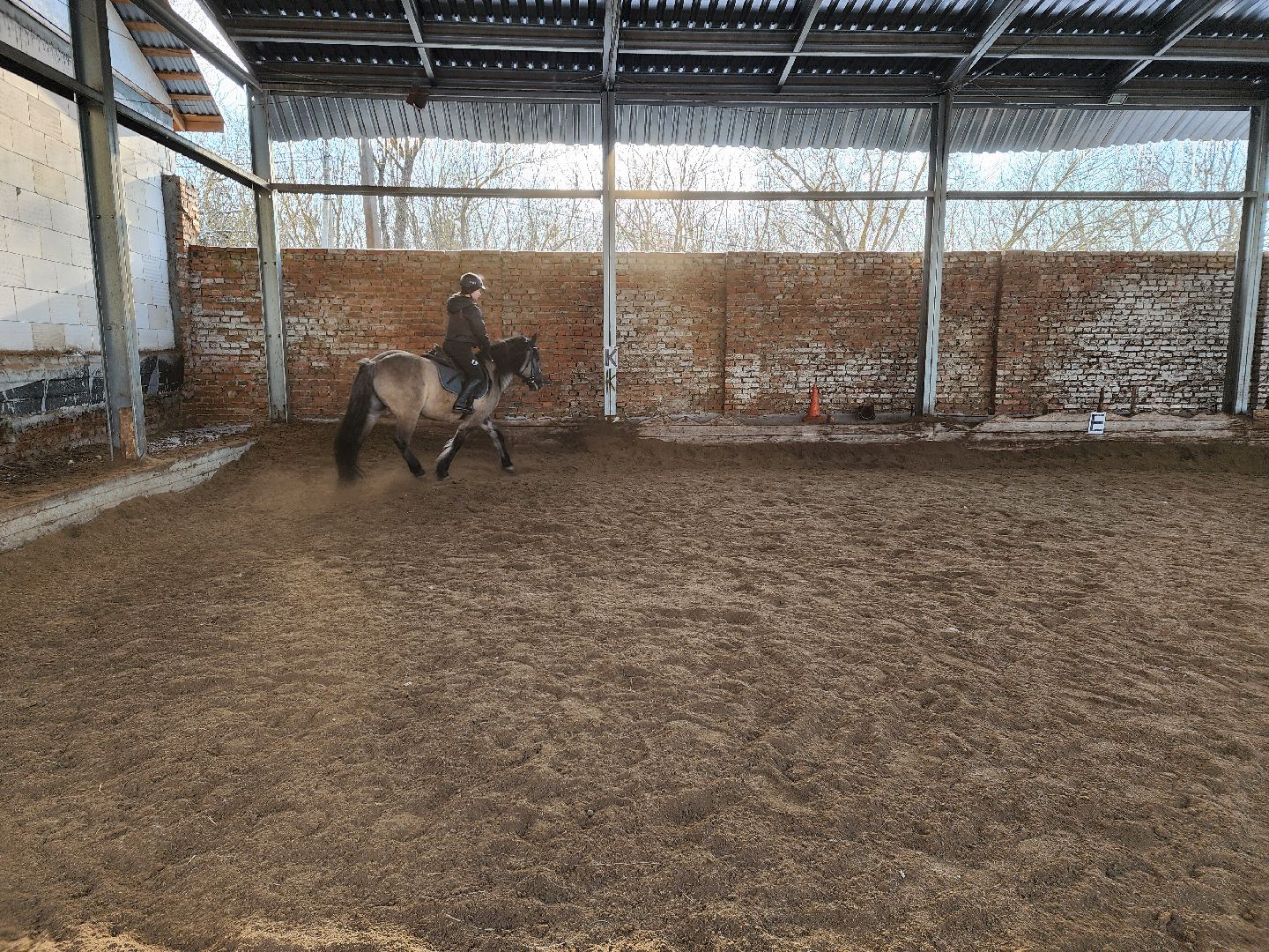 Зарайск, туризм, конный клуб,