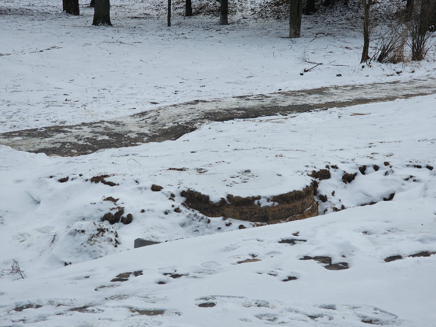 пущино, серпухов, добродел,