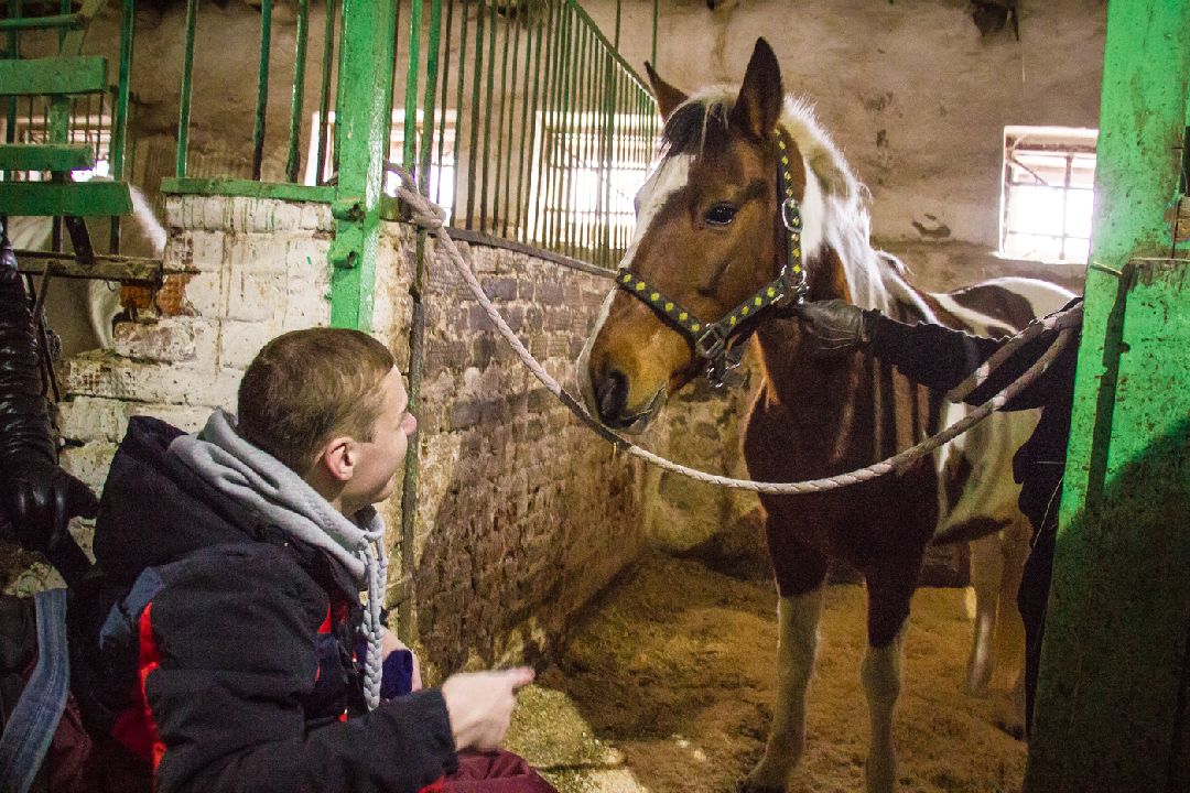 Коломна, общество
