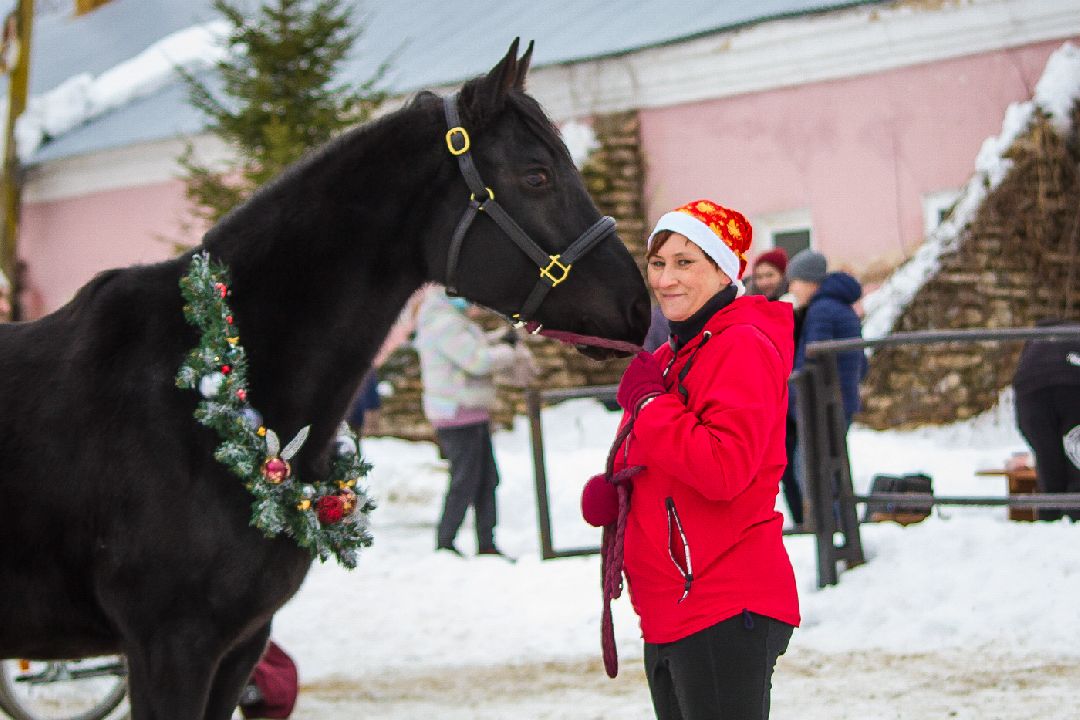Коломна, общество