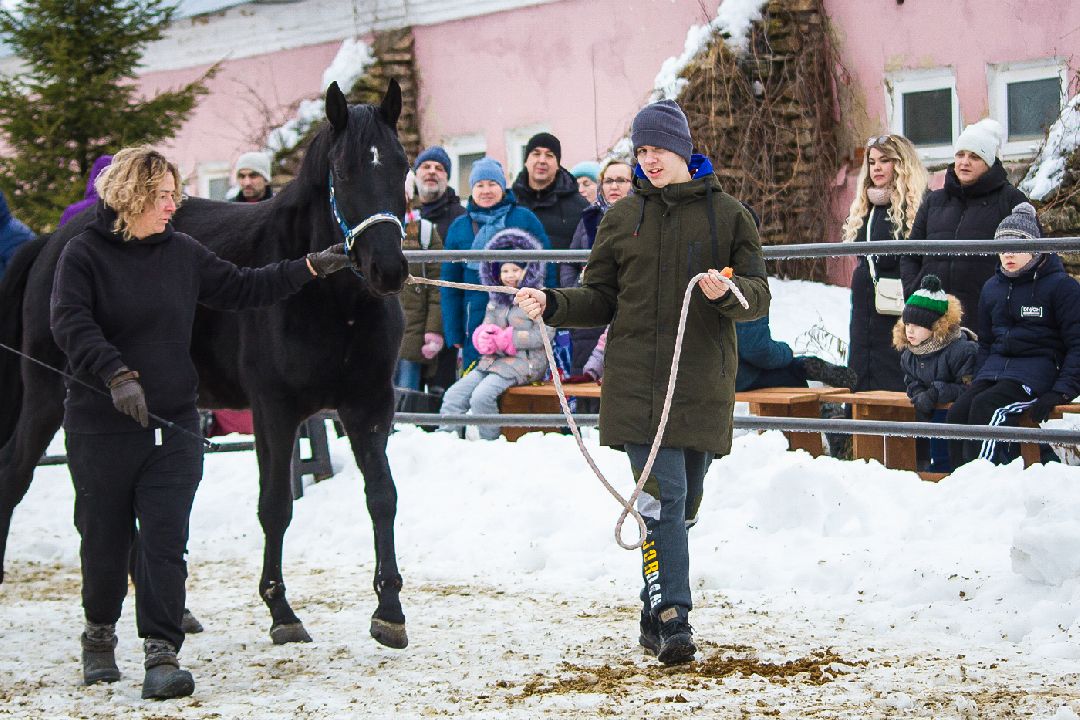 Коломна, общество