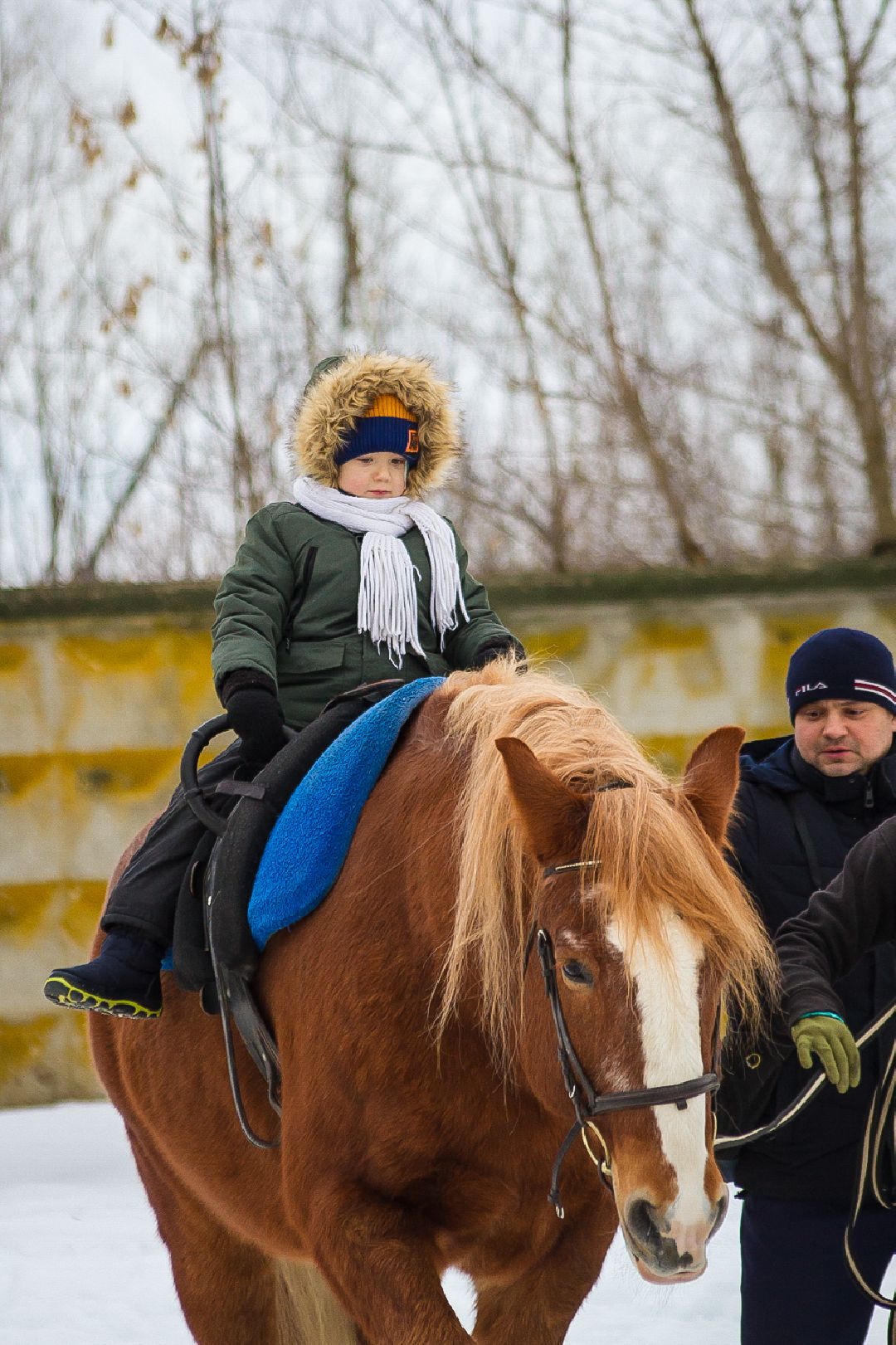 Коломна, общество