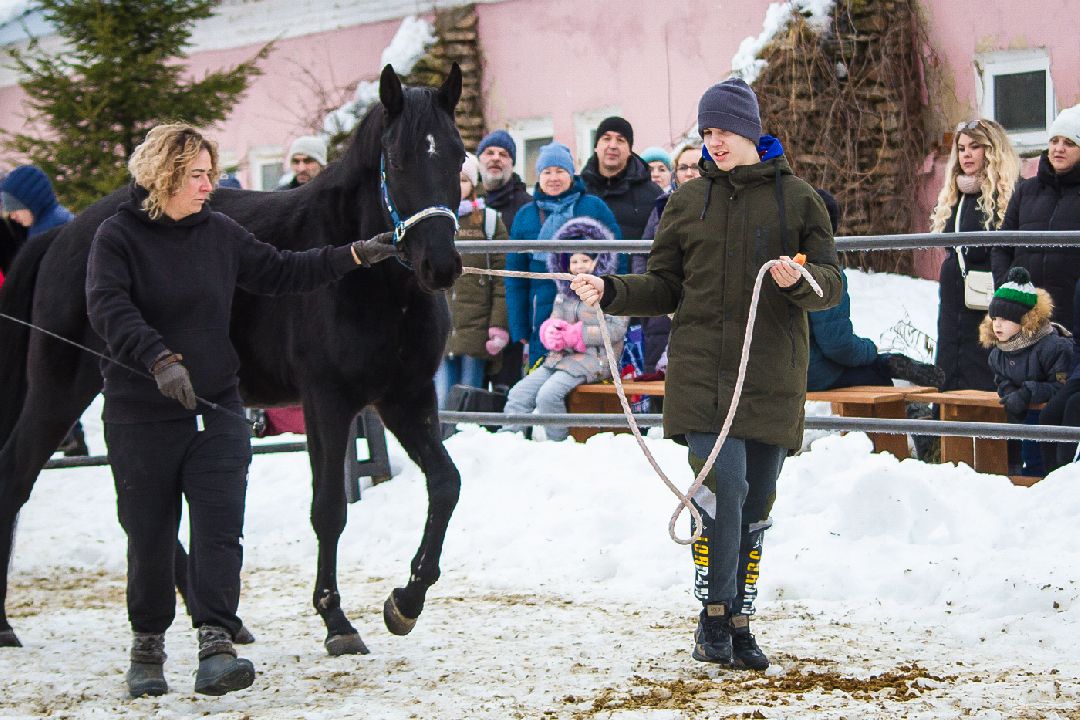 Коломна, общество