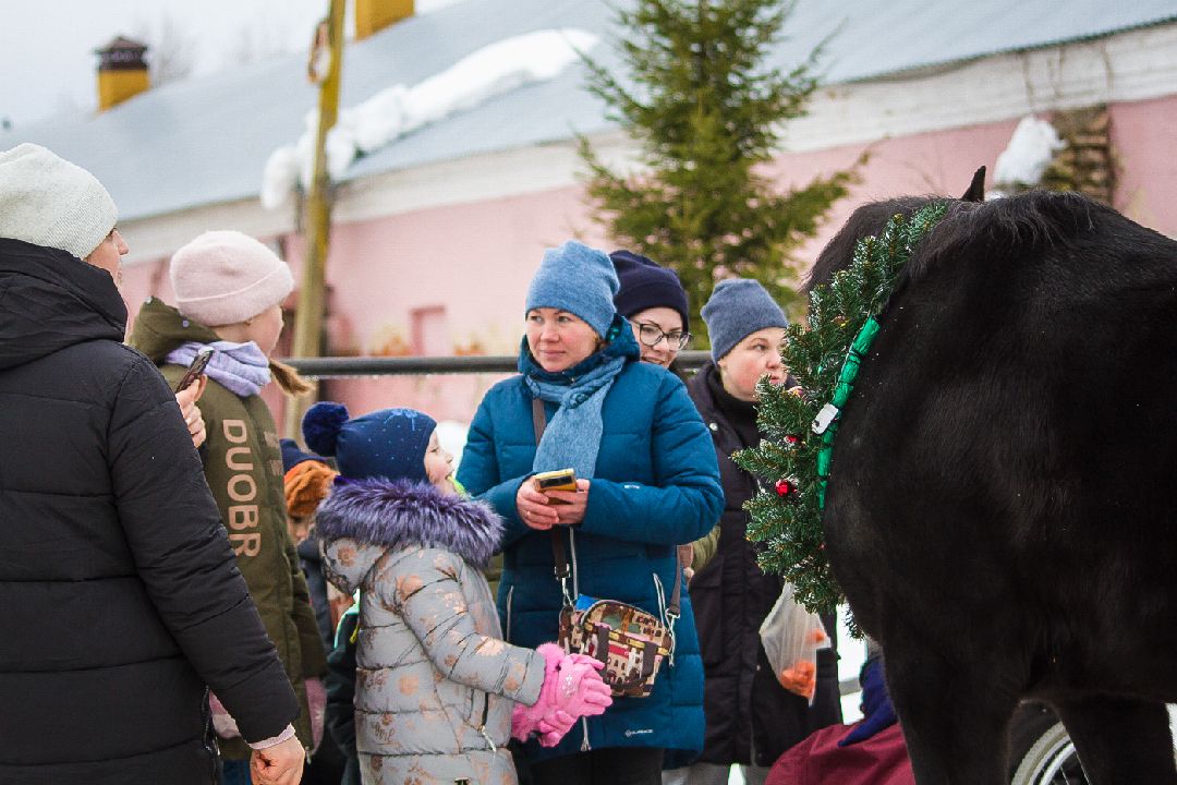 Коломна, общество