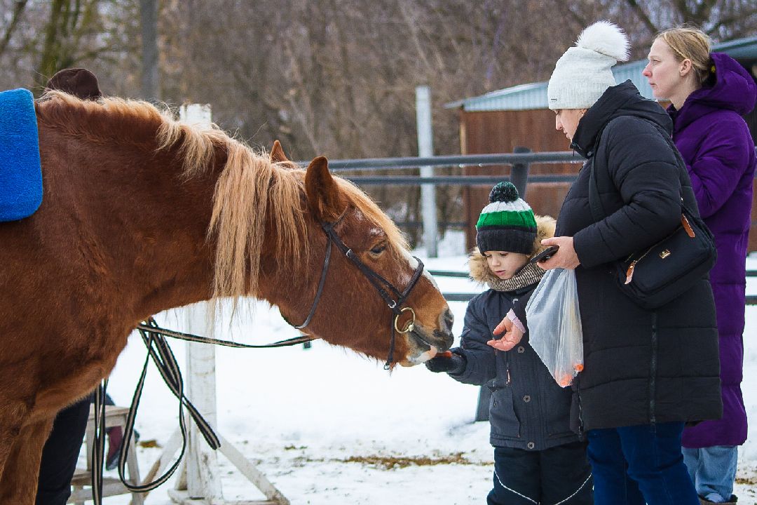 Коломна, общество