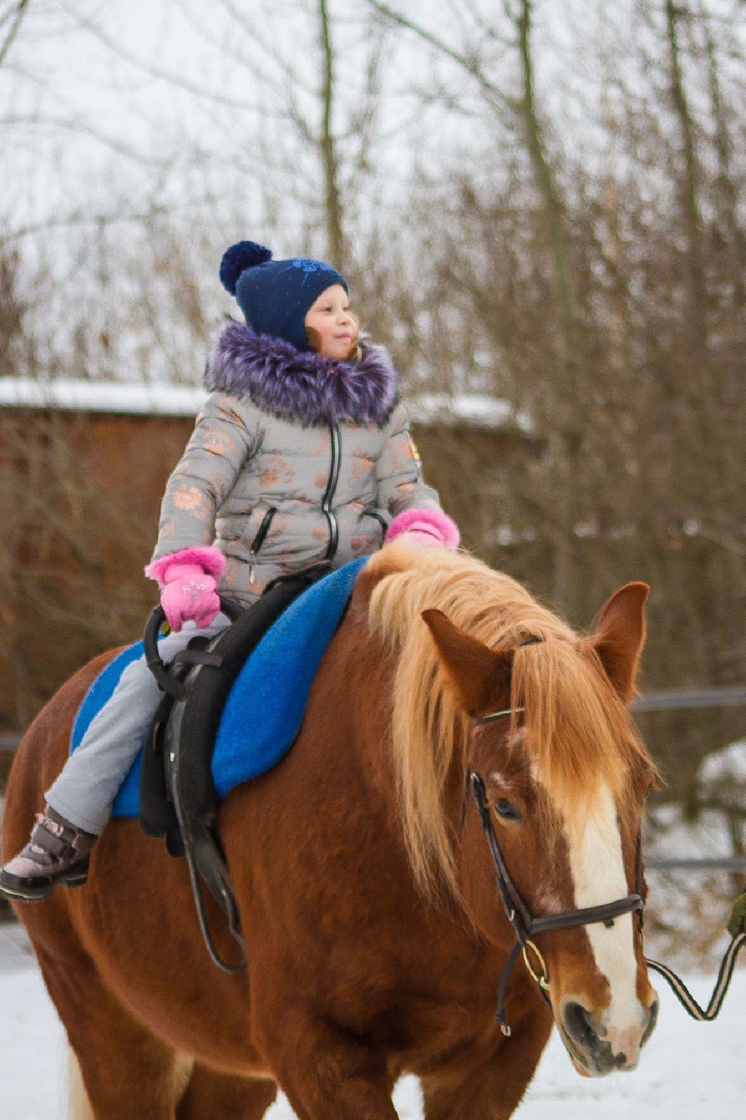 Коломна, общество