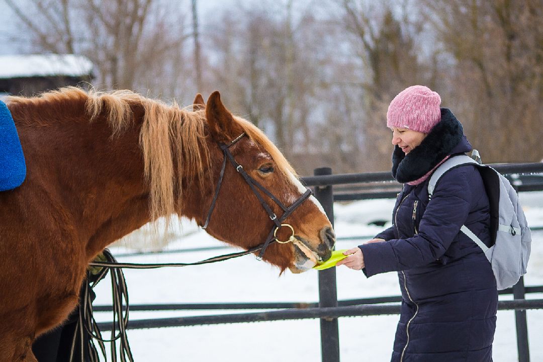 Коломна, общество