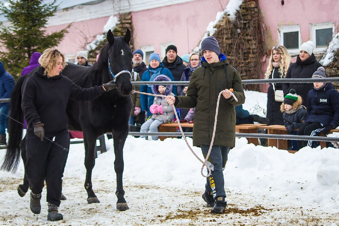 Коломна, общество