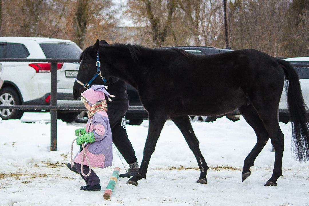 Коломна, общество