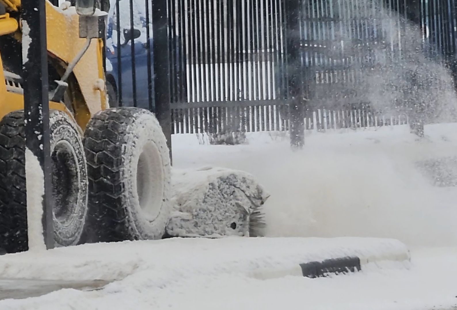 павловский посад, вертикалки, уборка, жкх,