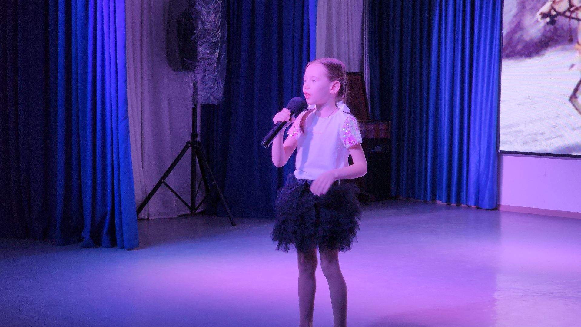 День защитника Отечества, 23 февраля, центр культуры, Ногинск, Богородский городской округ, вертикалки,