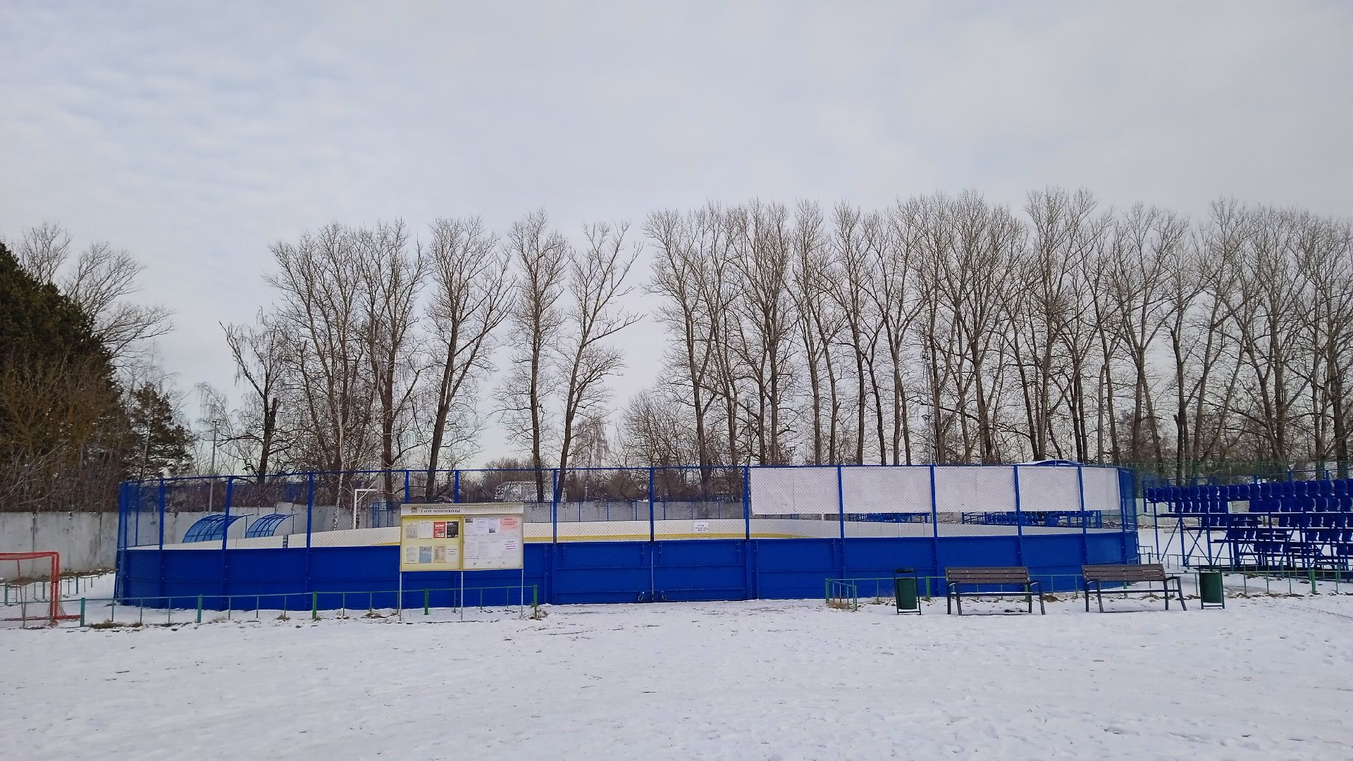 Коломна, катание на коньках, каток,