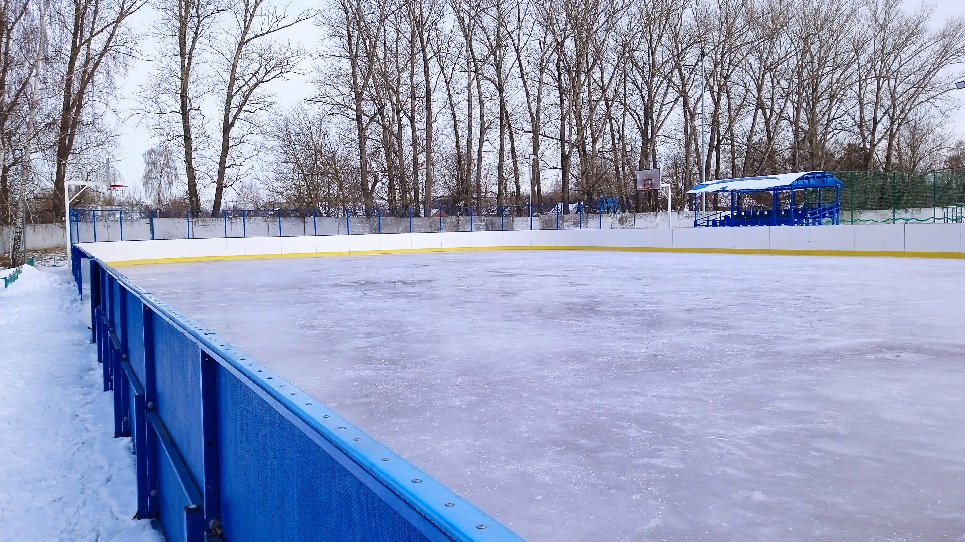 Коломна, катание на коньках, каток,