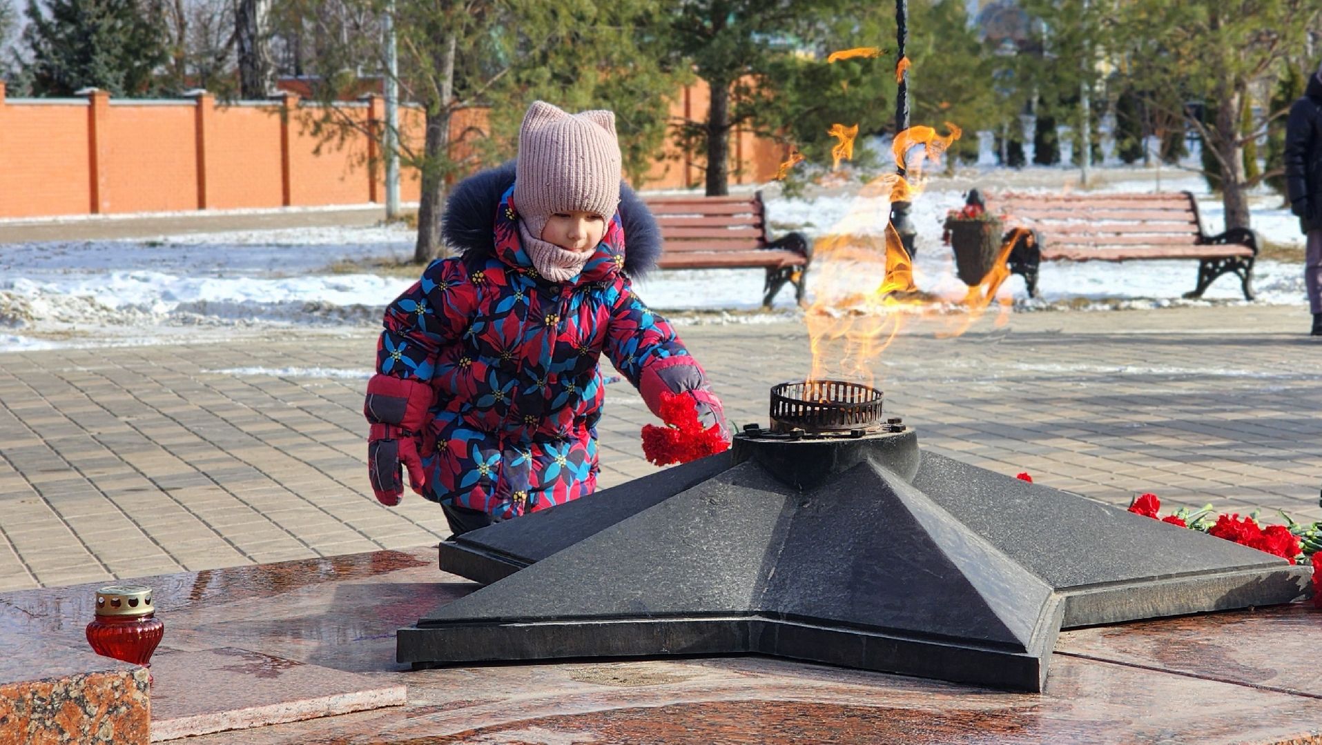 волонтеры, молодежь, День защитника Отечества, Лосино-Петровский,