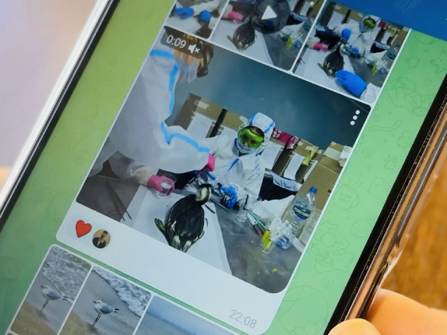 раменское, анапа, волонтер,волонтеры подмосковья,