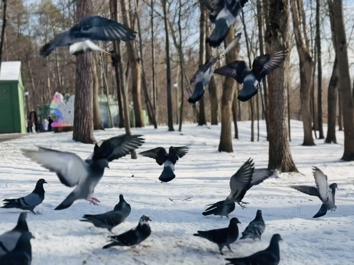раменское, анапа, волонтер,волонтеры подмосковья,