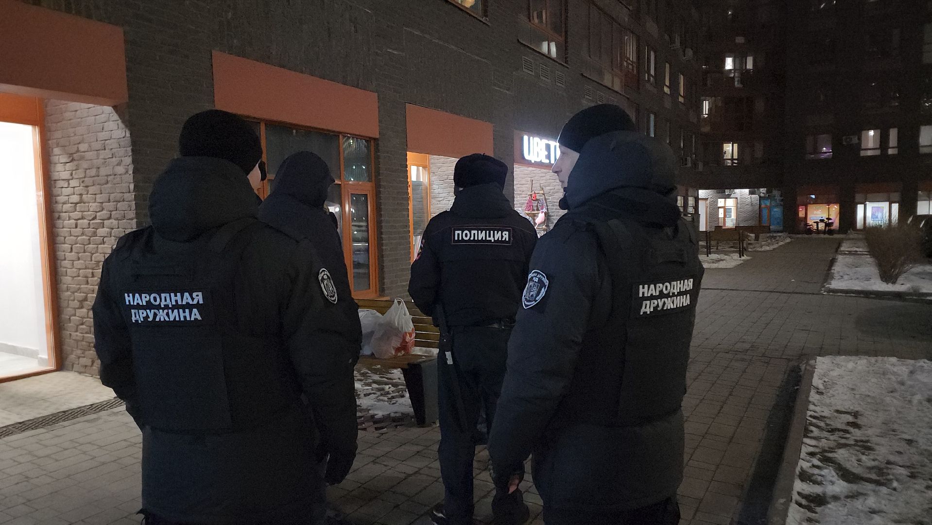 народная дружина, балашиха, патруль,