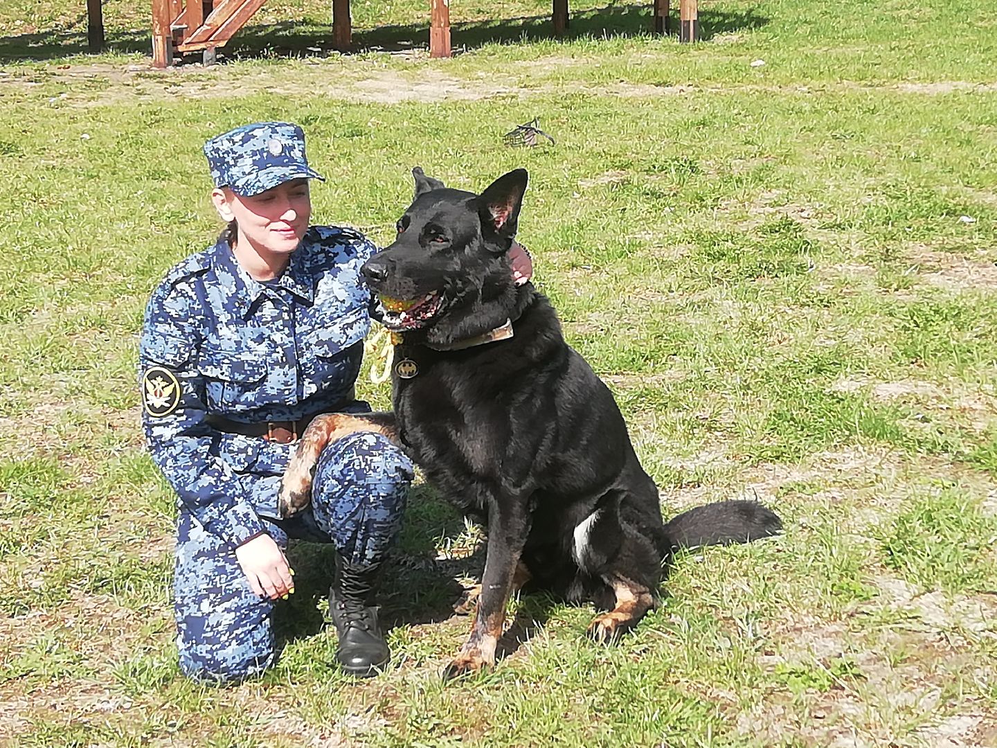 Чемпионат, Федеральная служба исполнения наказаний, кинологи, соревнвания, Ястребки