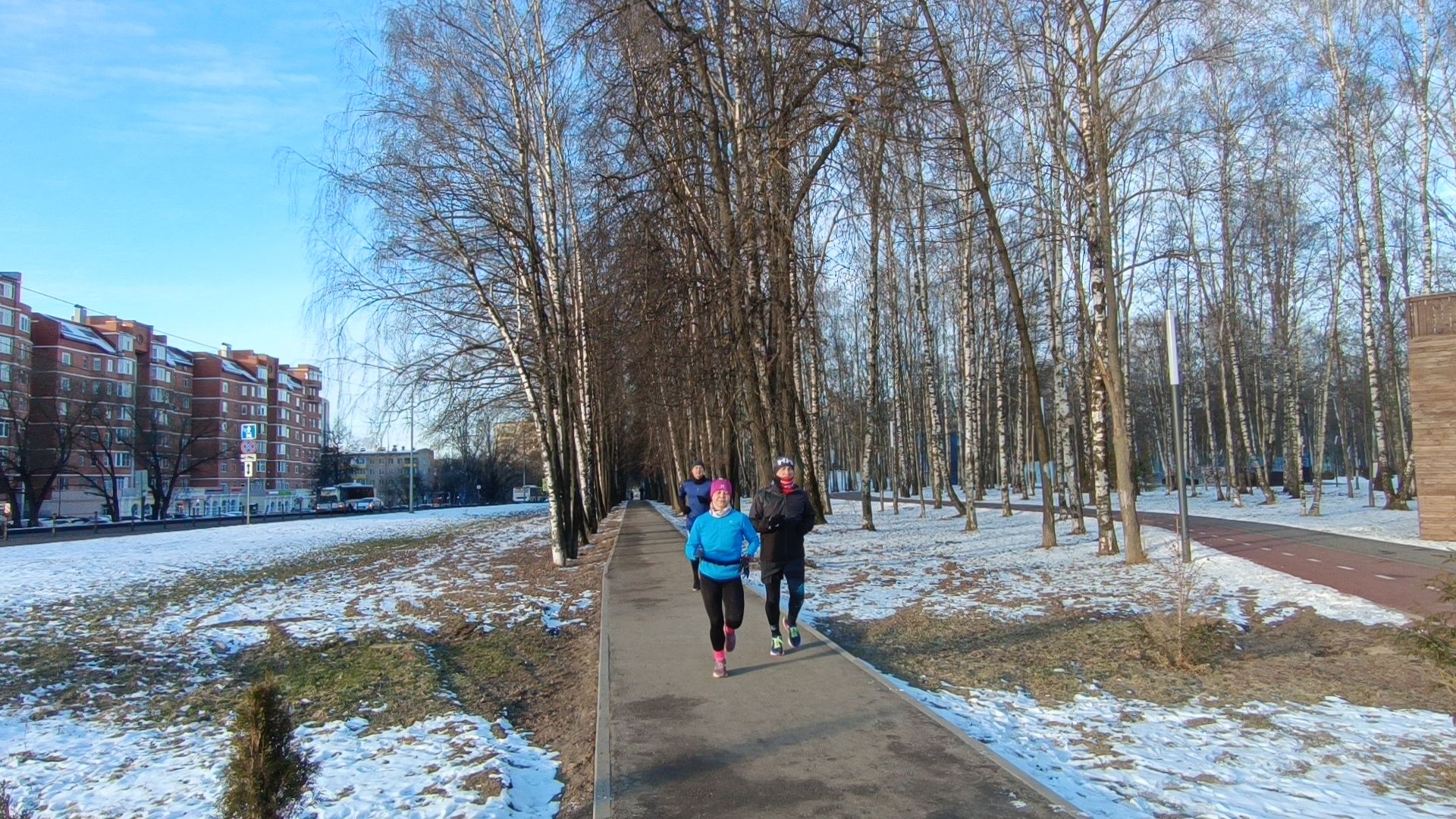 спорт, лобня, 5 верст, бег,парк, вертикалки