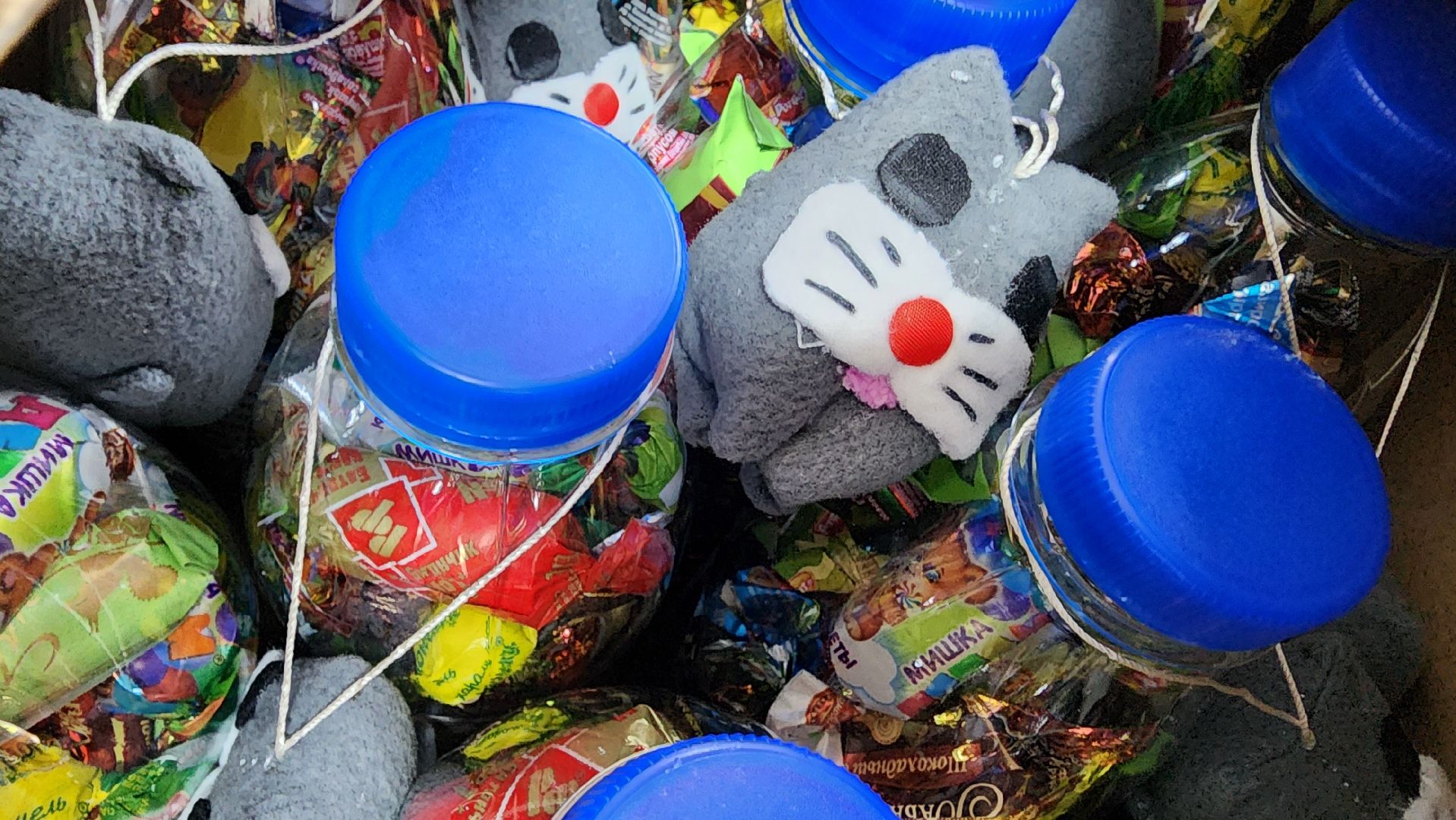 вертикалки, Спецоперация, гуманитарная помощь, Бронницы, 23 февраля,