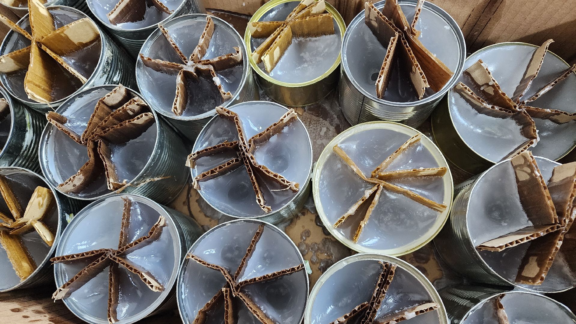 вертикалки, Спецоперация, гуманитарная помощь, Бронницы, 23 февраля,