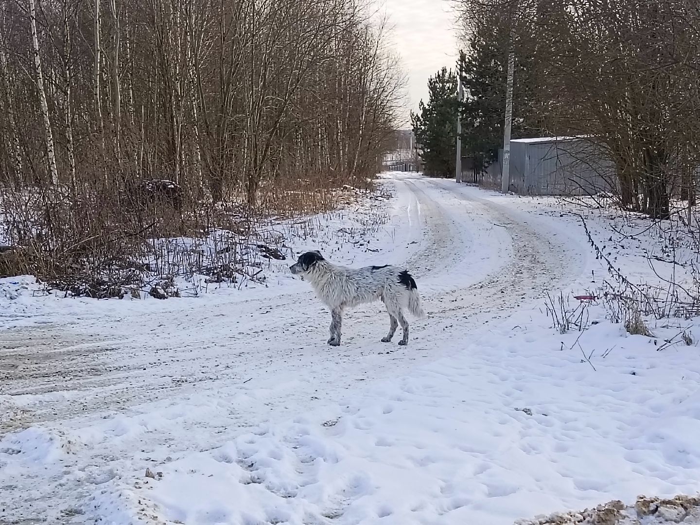 Коломна, выездная администрация, дороги, плотина,