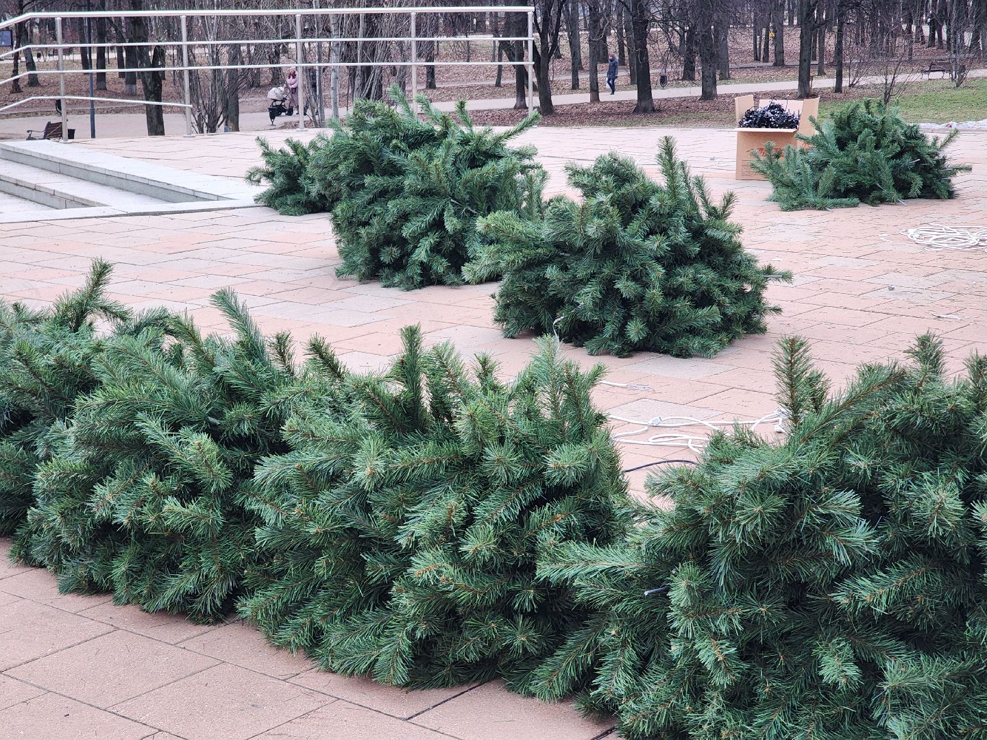новый год, елки, благоустройство,