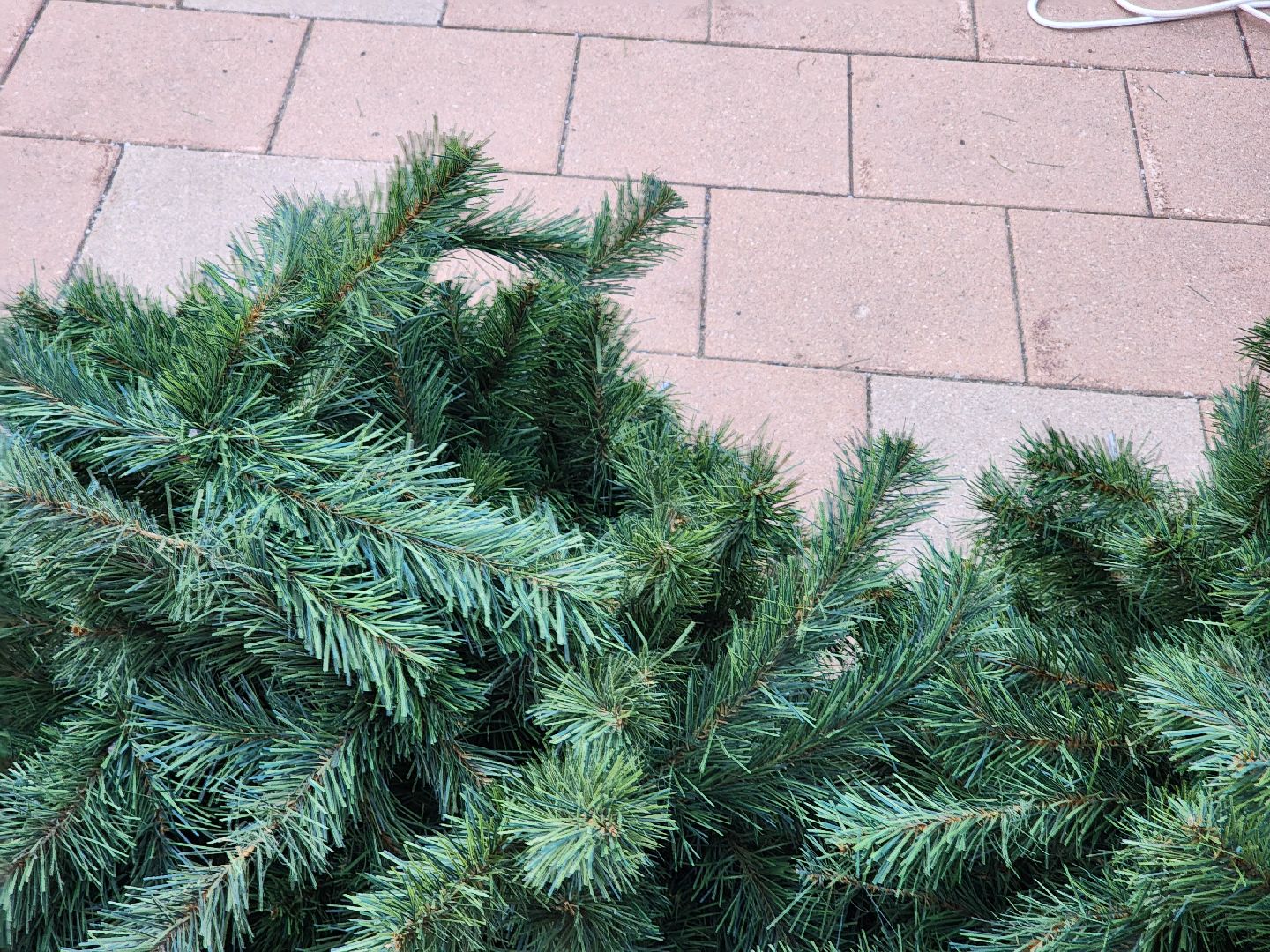 новый год, елки, благоустройство,