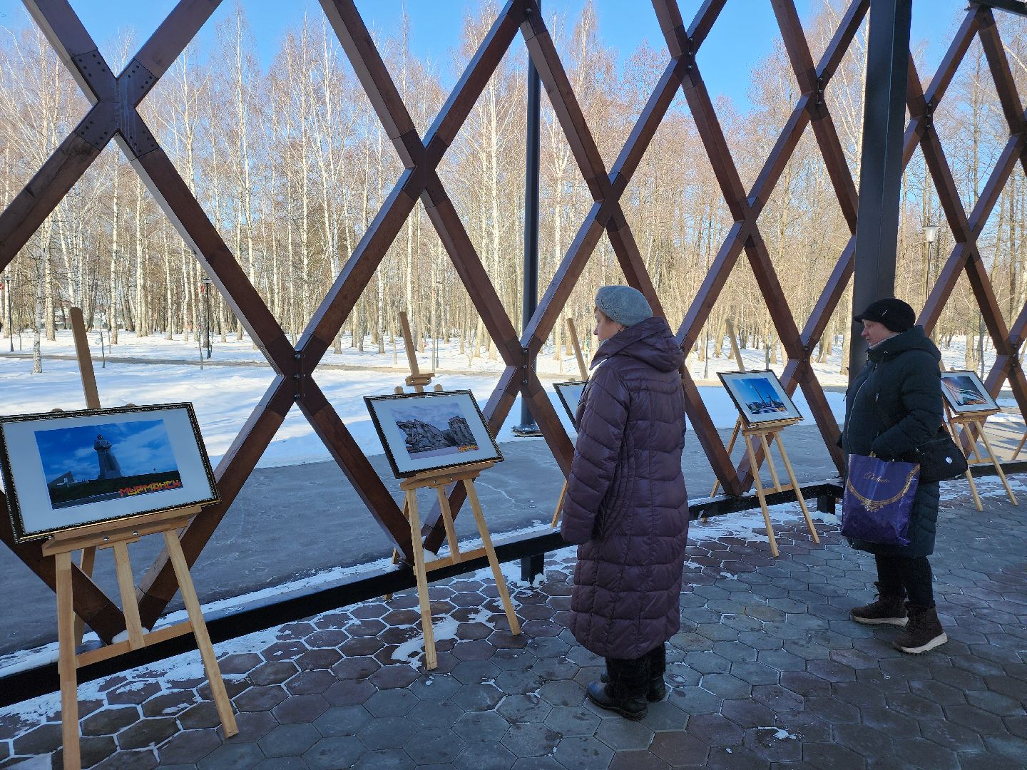 Егорьевск, вертикалки, Подмосковье, Московская область,