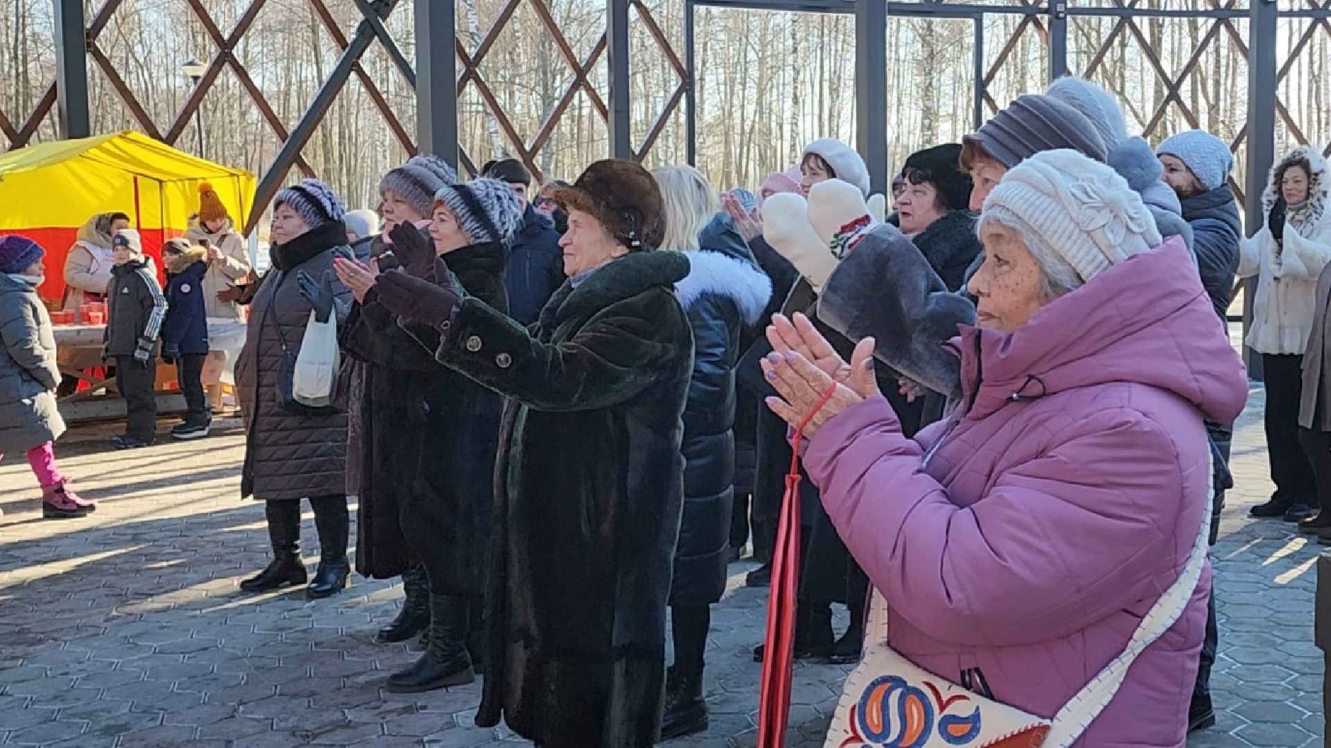 Егорьевск, вертикалки, Подмосковье, Московская область,