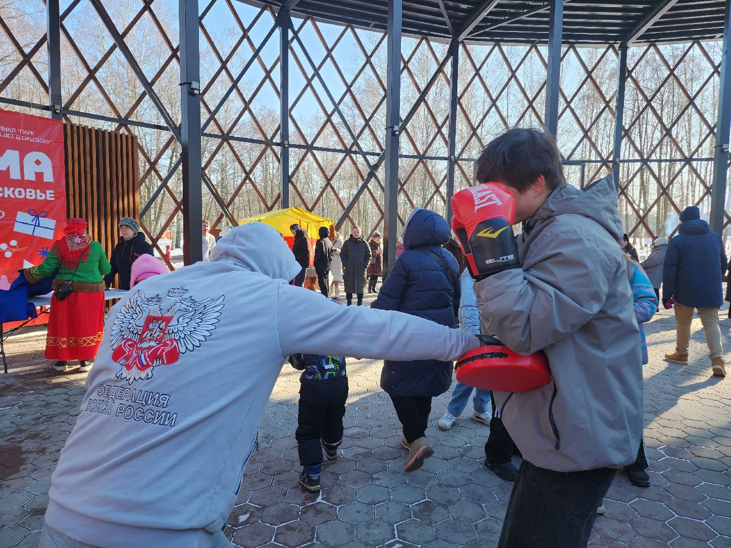 Егорьевск, Подмосковье, Московская область, вертикалки,
