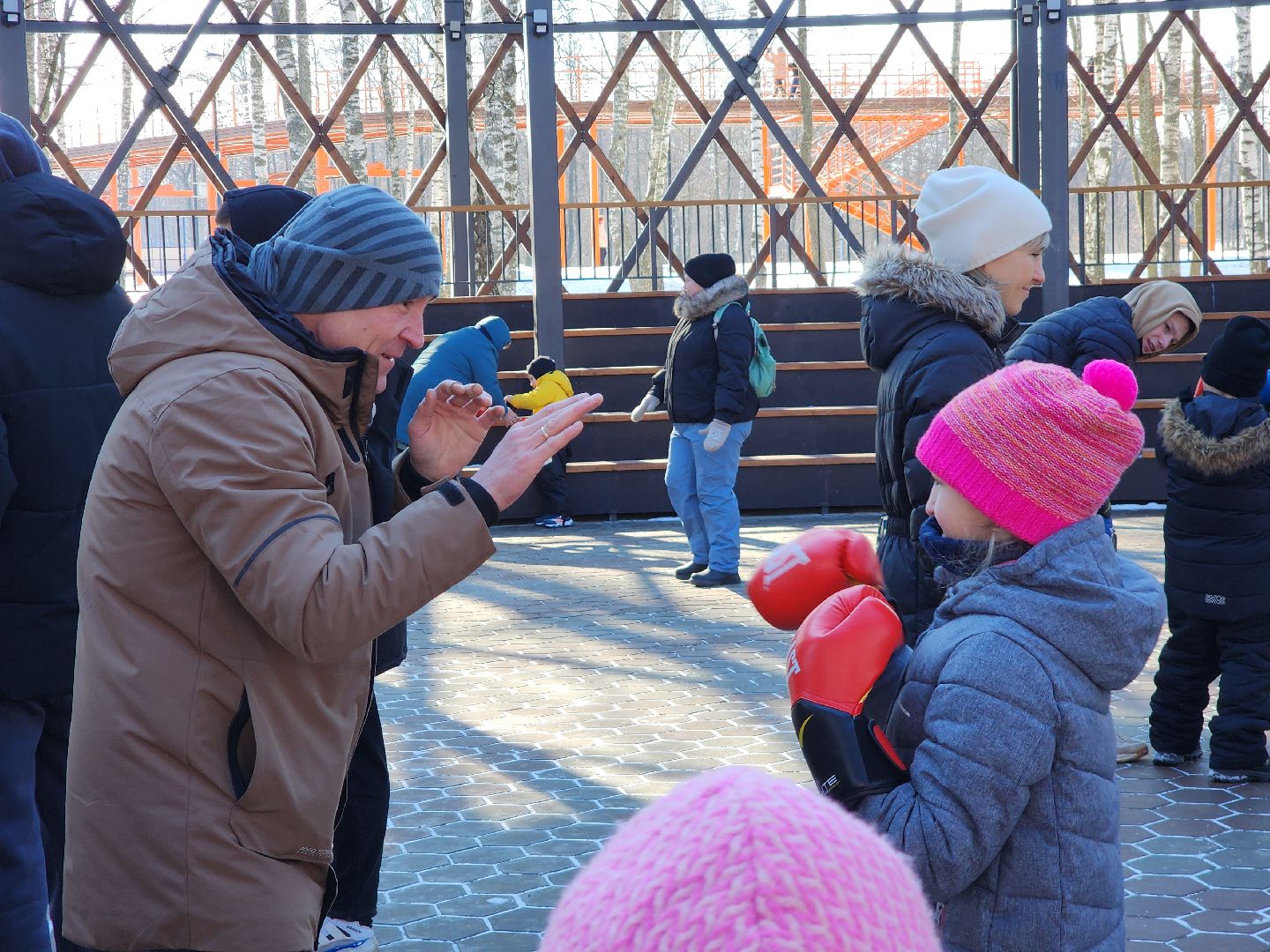 Егорьевск, Подмосковье, Московская область, вертикалки,